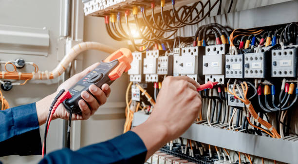 Best Electric Panel Repair  in De Soto, KS